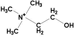 diagram, schematic